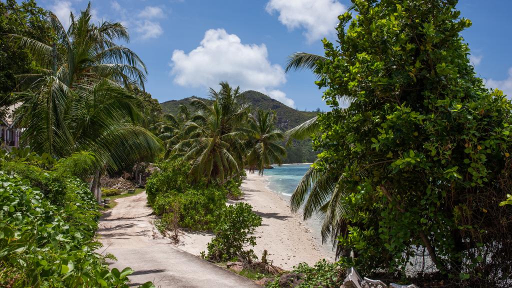 Photo 15: Summer Self Catering - Praslin (Seychelles)