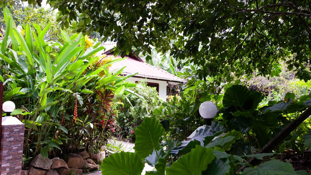 Foto 19: Buisson Guest House - La Digue (Seychelles)