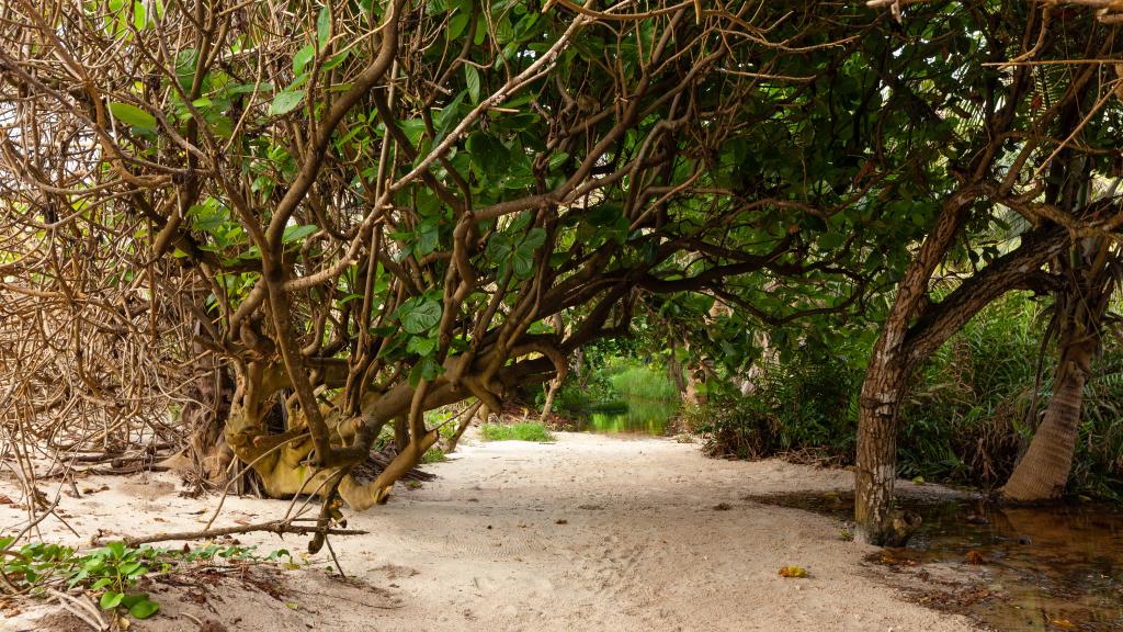 Foto 115: Villa Source D'Argent - La Digue (Seychellen)