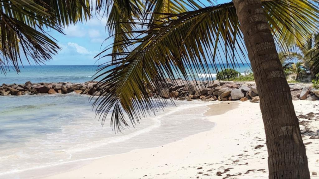 Photo 19: Cap Jean Marie Beach Villas - Praslin (Seychelles)