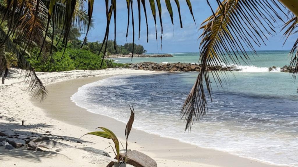 Photo 18: Cap Jean Marie Beach Villas - Praslin (Seychelles)