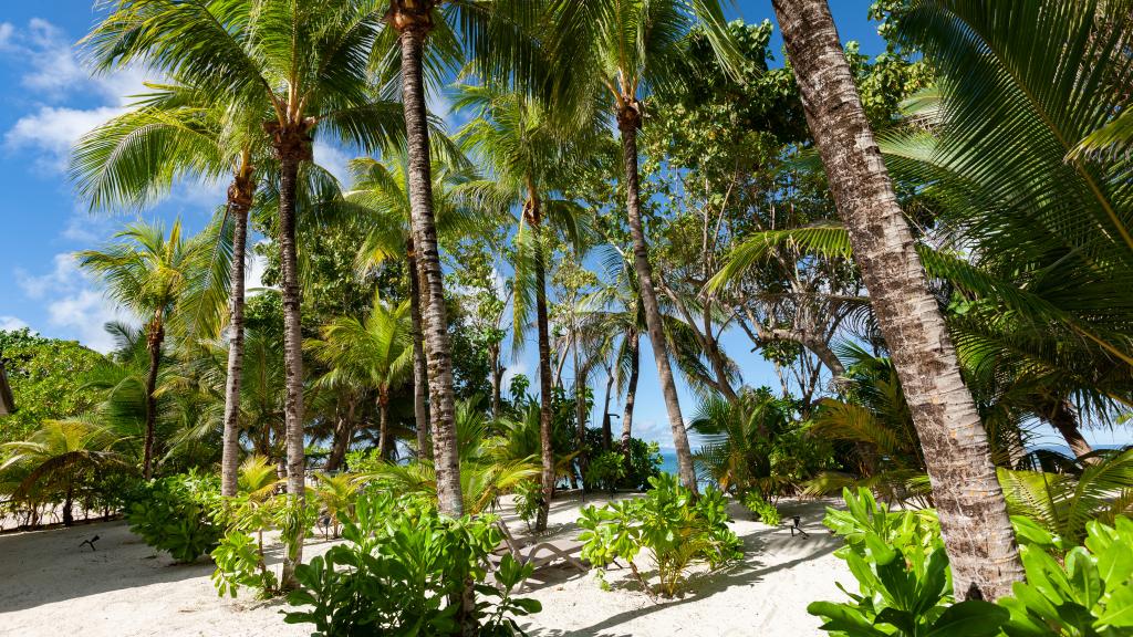 Photo 30: Cap Jean Marie Beach Villas - Praslin (Seychelles)