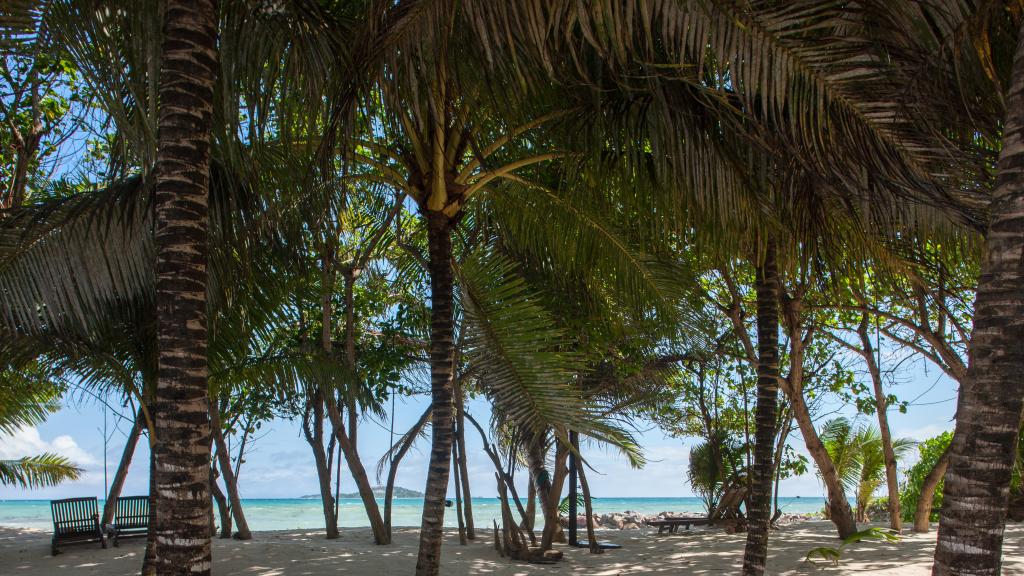 Photo 38: Cap Jean Marie Beach Villas - Praslin (Seychelles)