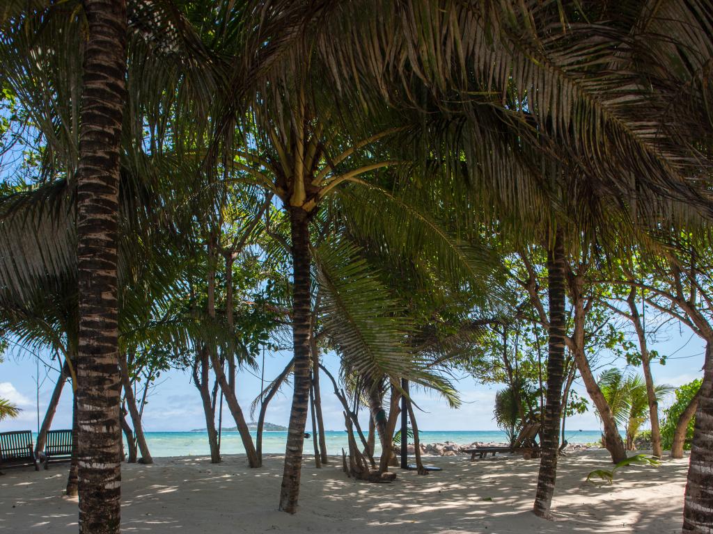 Cap Jean Marie Beach Villas - Photo 8