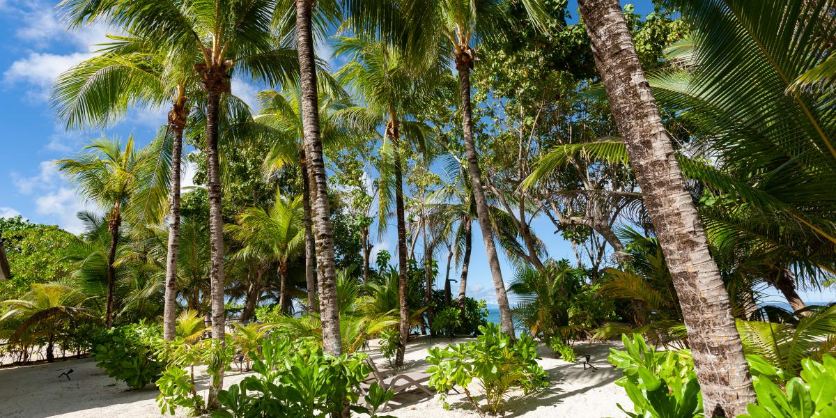 Cap Jean Marie Beach Villas