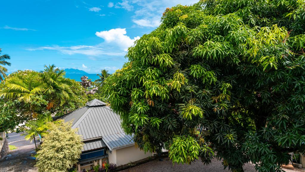 Foto 23: The Diver's Lodge - Mahé (Seychellen)
