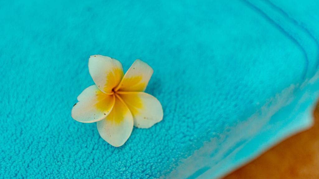 Photo 64: The Diver's Lodge - Mahé (Seychelles)