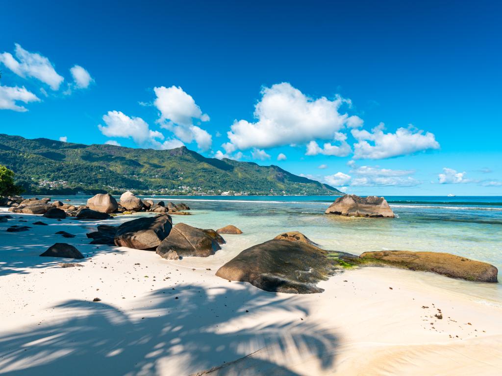 The Diver's Lodge - Photo 6