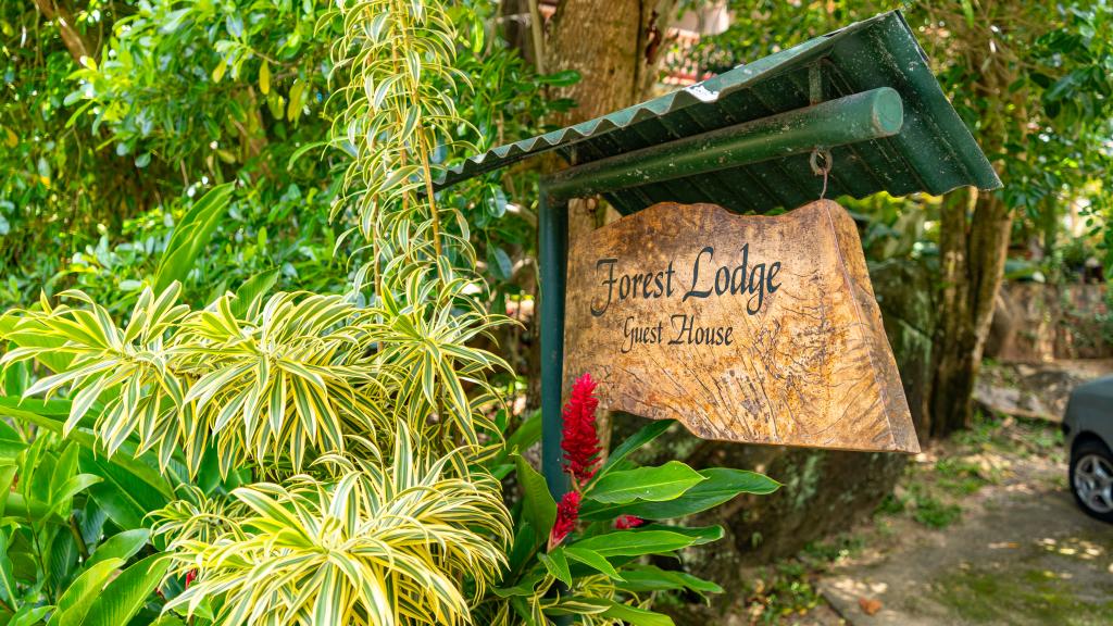 Foto 8: Forest Lodge Guest House - Mahé (Seychelles)