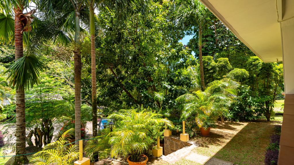 Foto 21: Forest Lodge Guest House - Mahé (Seychelles)