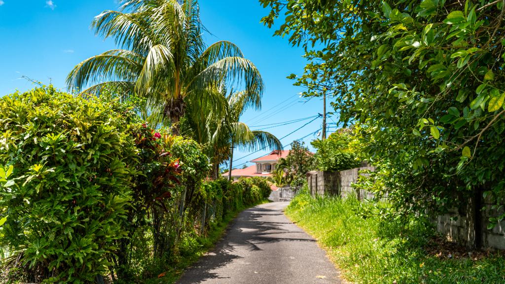 Photo 42: Forest Lodge Guest House - Mahé (Seychelles)