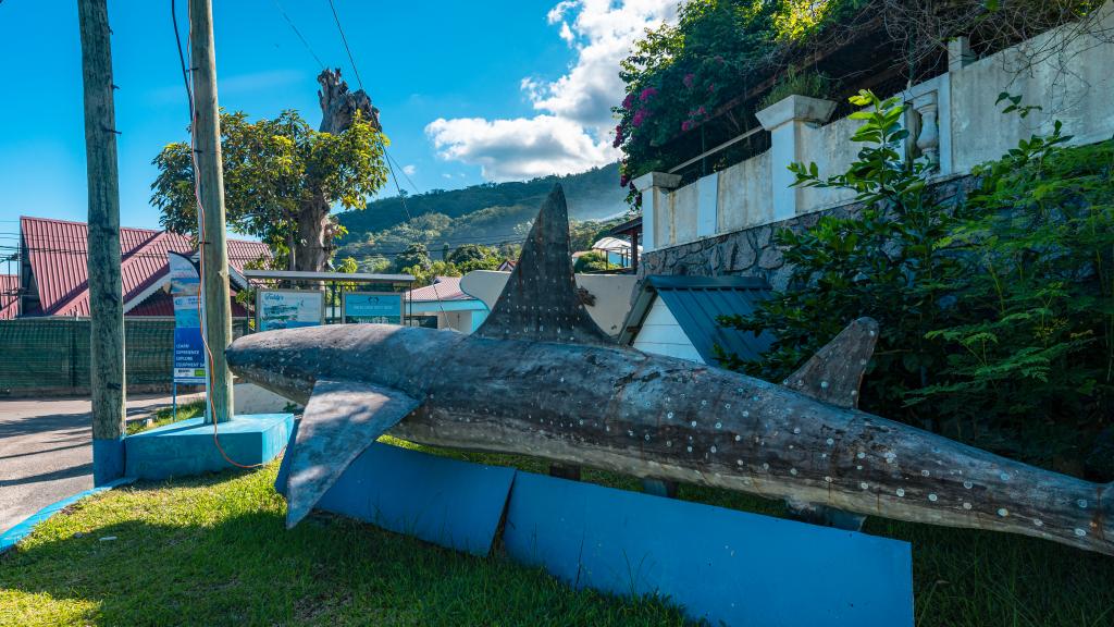 Foto 61: Anse Norwa Self Catering - Mahé (Seychelles)