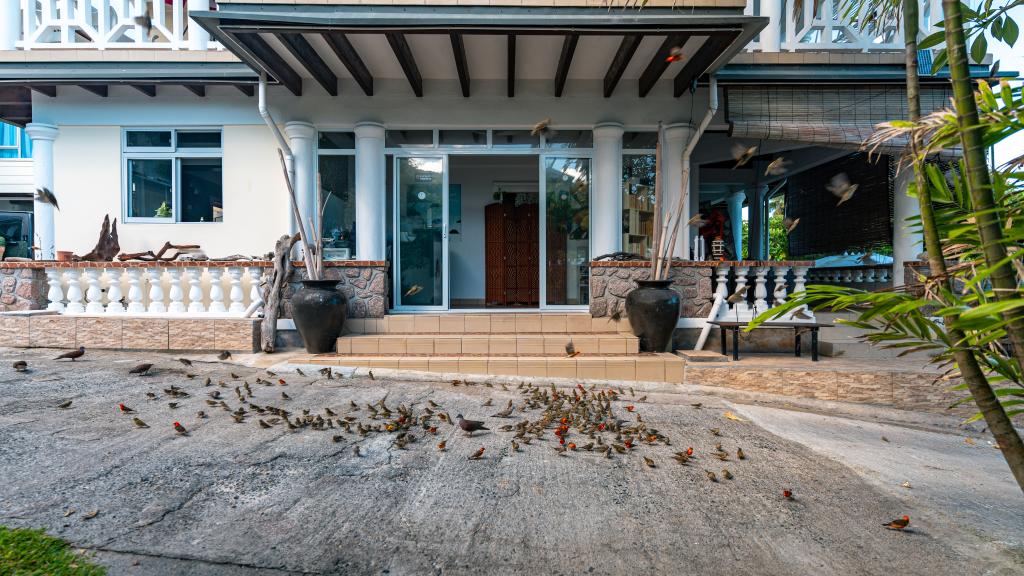 Foto 42: Anse Norwa Self Catering - Mahé (Seychelles)