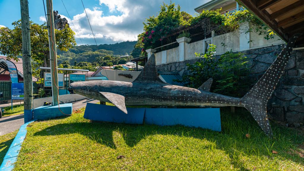 Foto 65: Anse Norwa Self Catering - Mahé (Seychellen)
