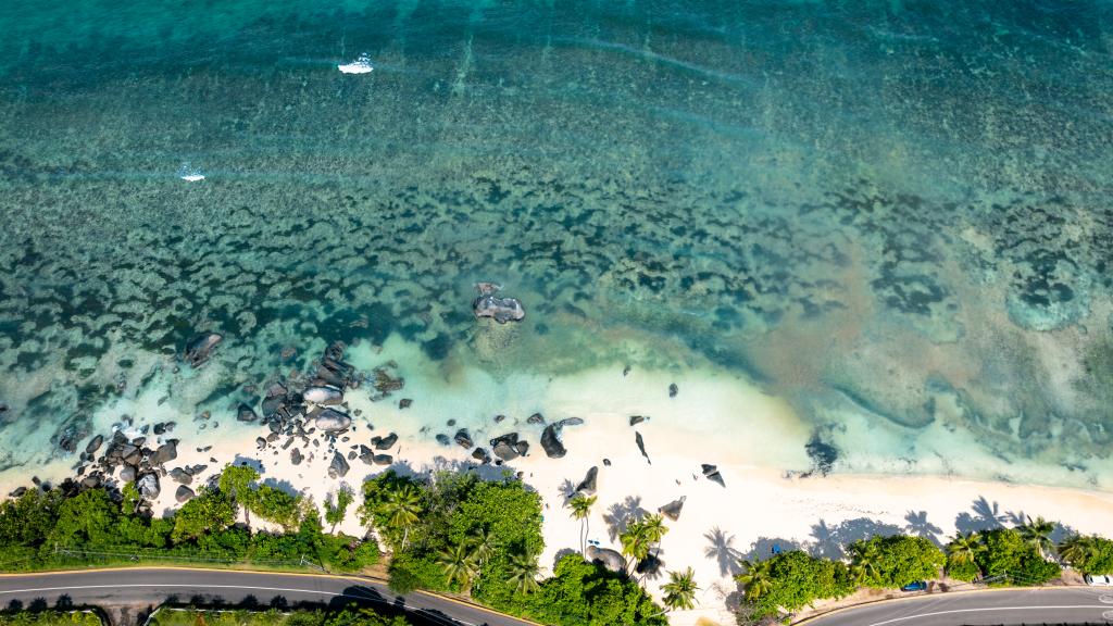 Foto 39: Anse Norwa Self Catering - Mahé (Seychelles)