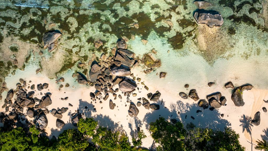 Foto 44: Anse Norwa Self Catering - Mahé (Seychelles)