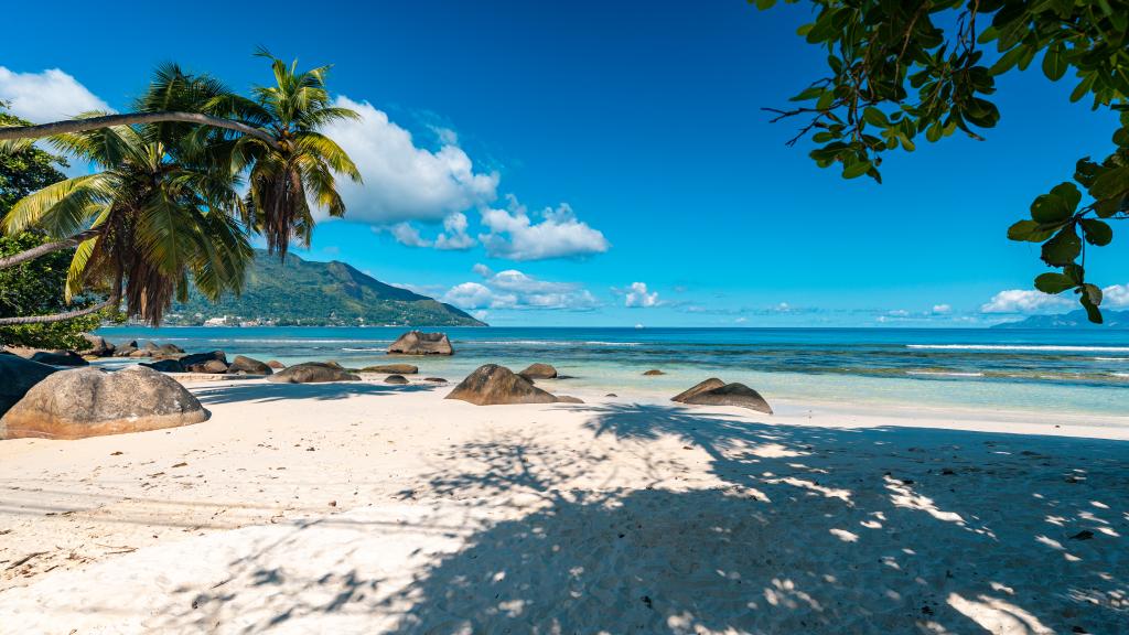 Foto 46: Anse Norwa Self Catering - Mahé (Seychelles)