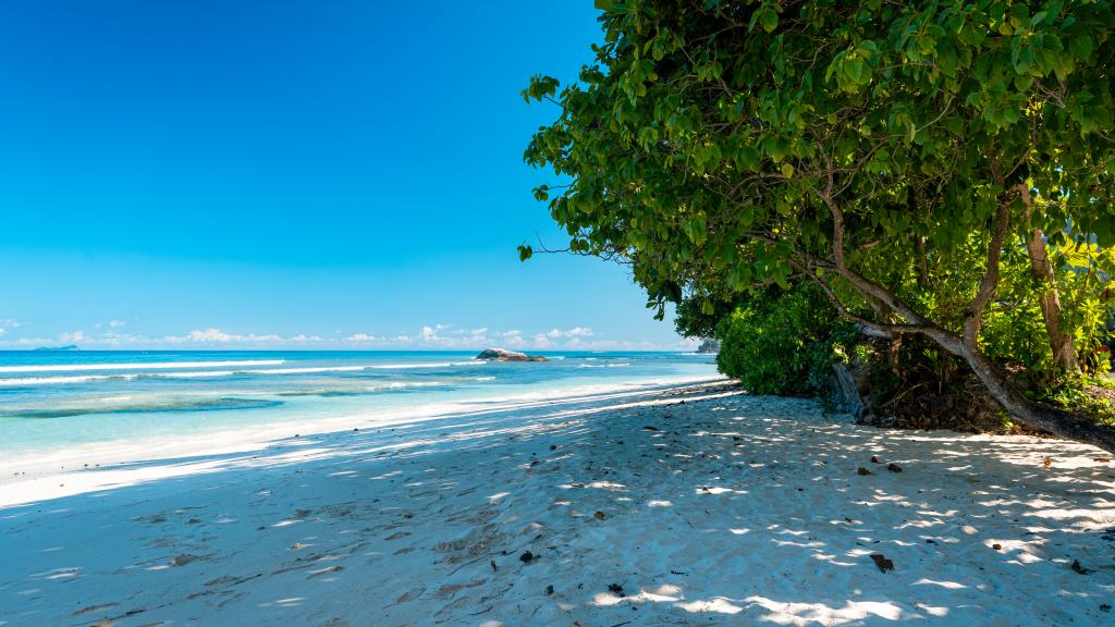 Foto 57: Anse Norwa Self Catering - Mahé (Seychelles)