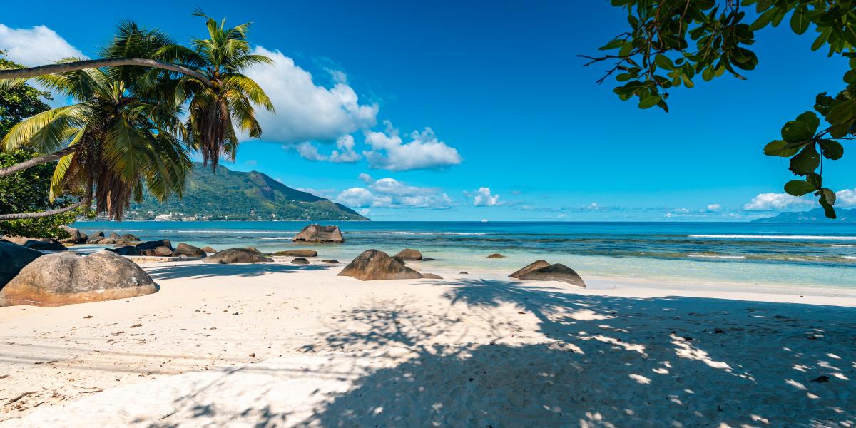 Anse Norwa Self Catering