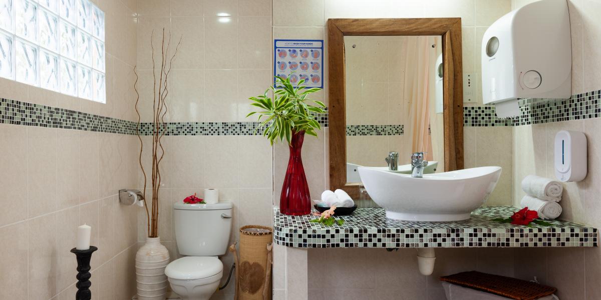 Oceane L'Union Villa - Villa