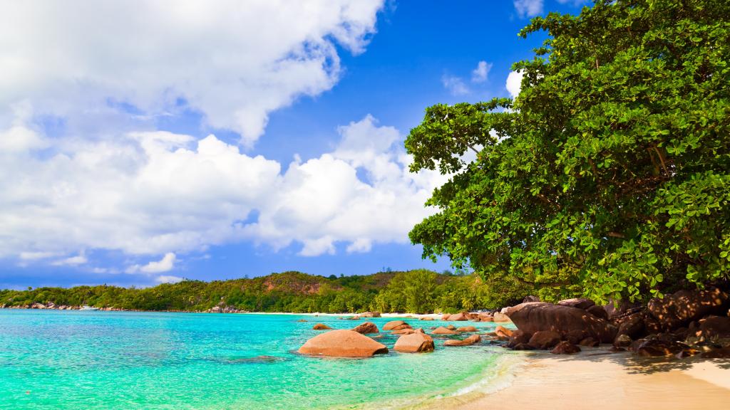 Photo 69: Pegasus Cruise (Variety Garden of Eden 7 nights) - Seychelles (Seychelles)