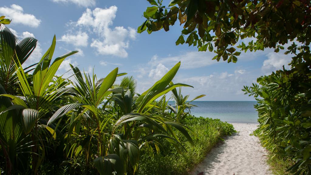 Foto 66: Dhevatara Beach Hotel - Praslin (Seychelles)