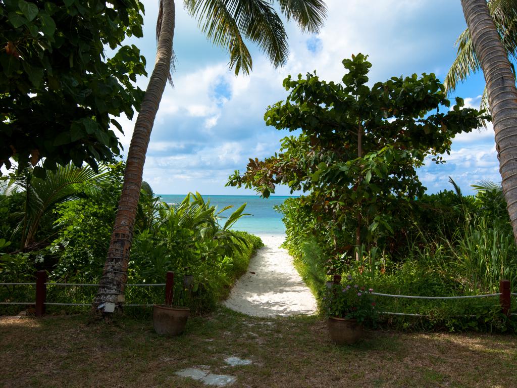 Dhevatara Beach Hotel - Photo 3