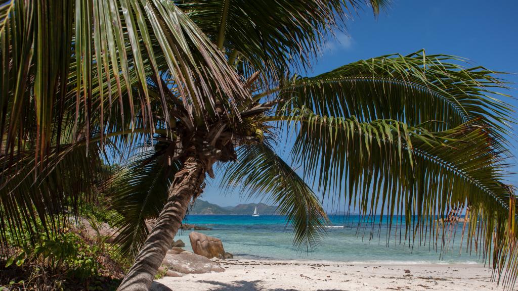 Photo 26: O'Soleil Chalets - La Digue (Seychelles)