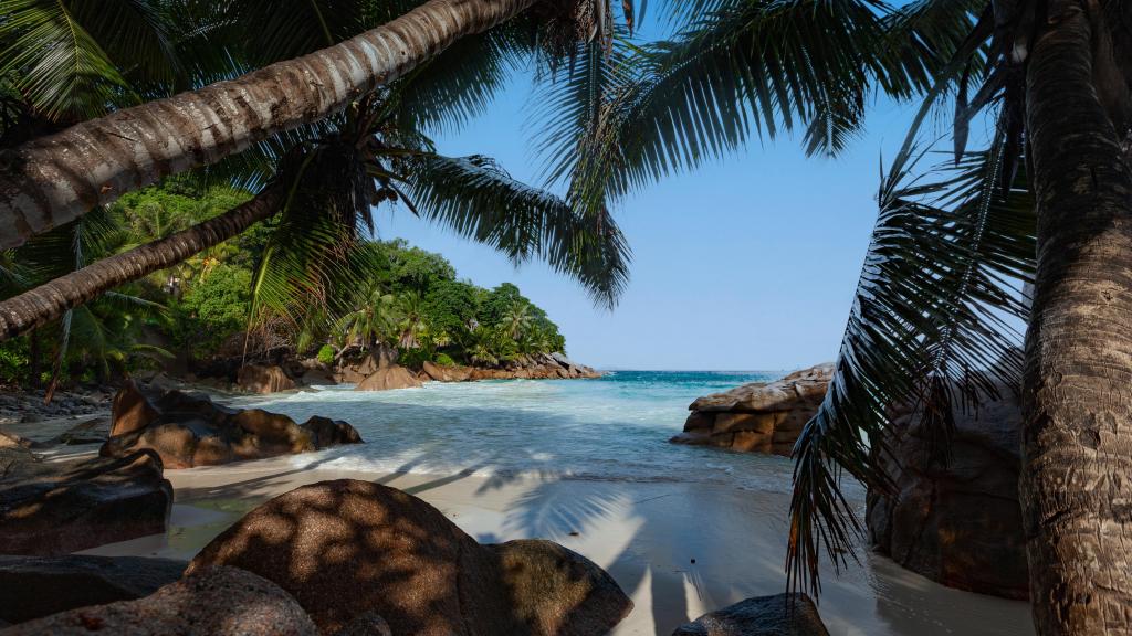 Photo 107: O'Soleil Chalets - La Digue (Seychelles)