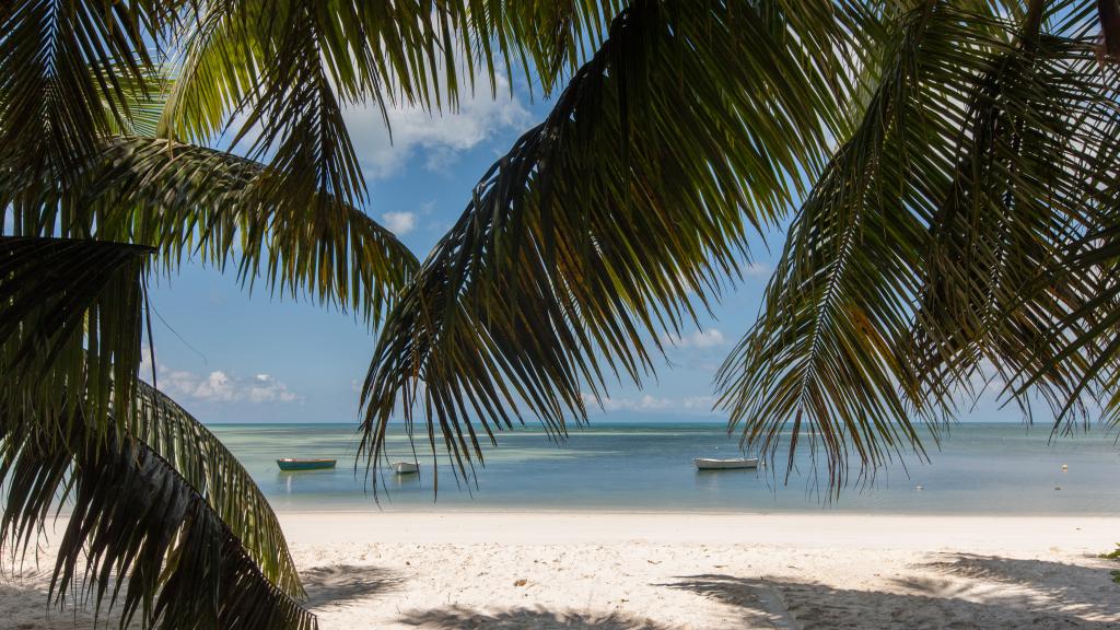 Foto 16: La Modestie Villa - Praslin (Seychellen)