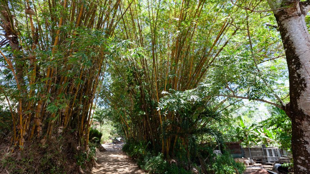 Foto 69: Villa Pasyon - La Digue (Seychellen)