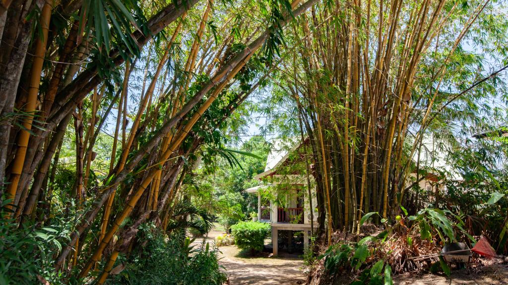 Foto 67: Villa Pasyon - La Digue (Seychellen)