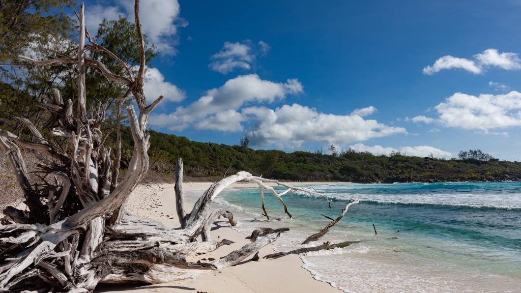 Foto 79: Villa Pasyon - La Digue (Seychellen)