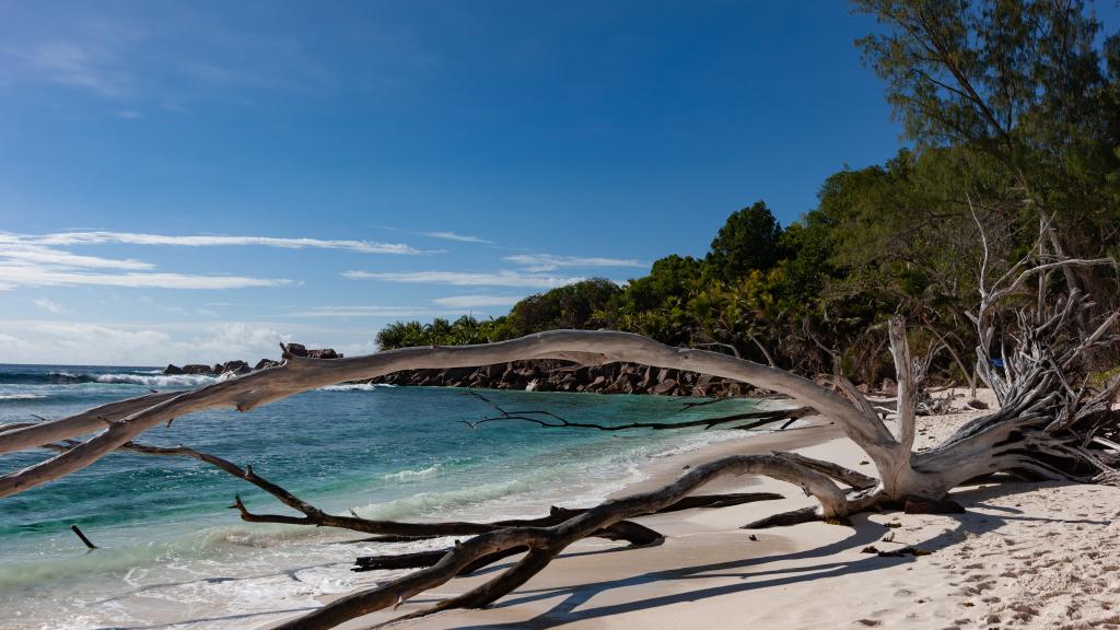 Foto 78: Villa Pasyon - La Digue (Seychelles)