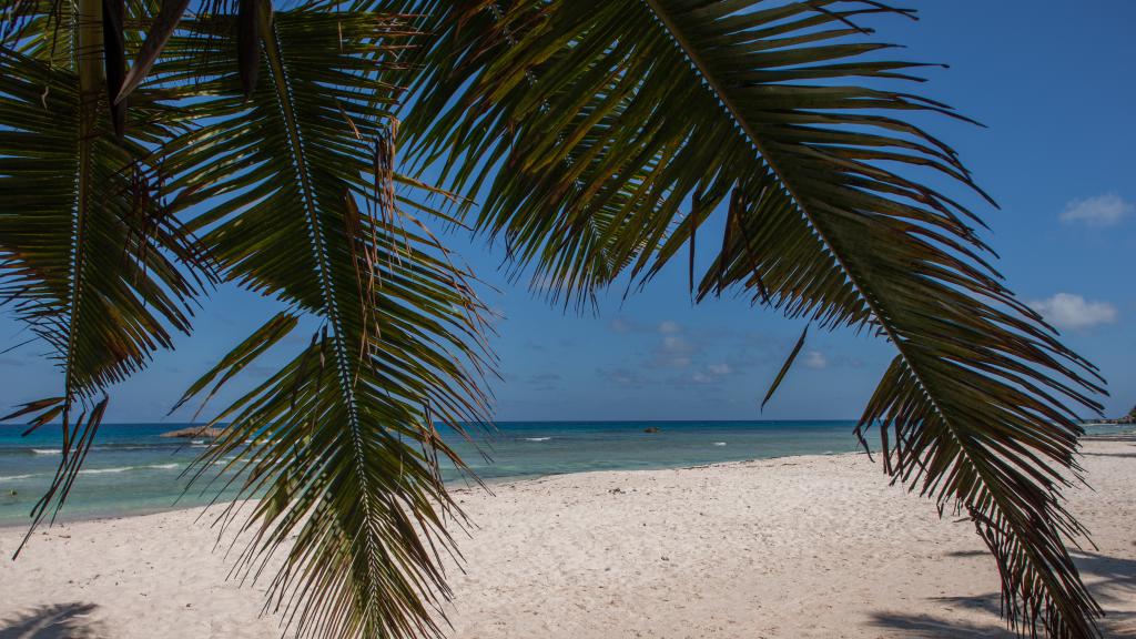 Foto 22: Island Bungalow - La Digue (Seychelles)