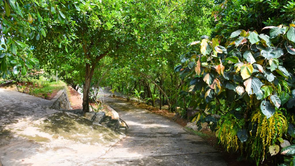 Photo 94: Demeure de Cap Maçon - Mahé (Seychelles)