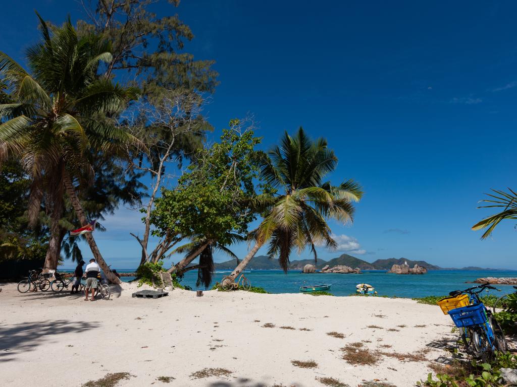 La Kaz Safran - Foto 7