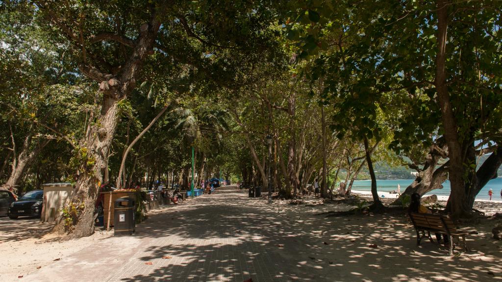 Foto 85: Clef des Iles - Mahé (Seychelles)