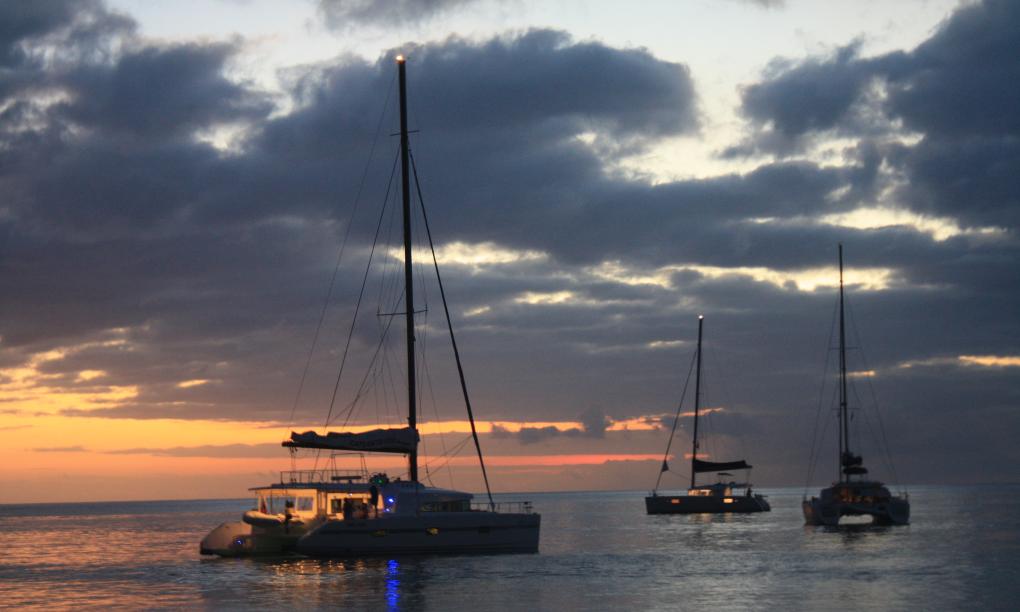 VPM Cocktail Créole