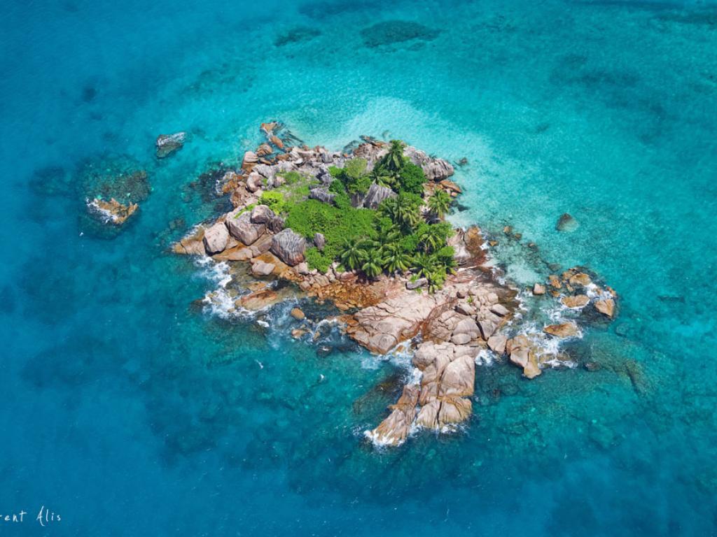 VPM Cocktail Créole - Foto 6