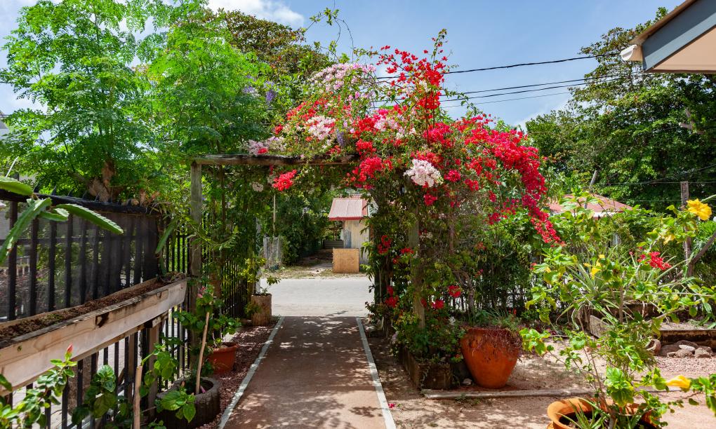 Marie-France Beach Front Apartments