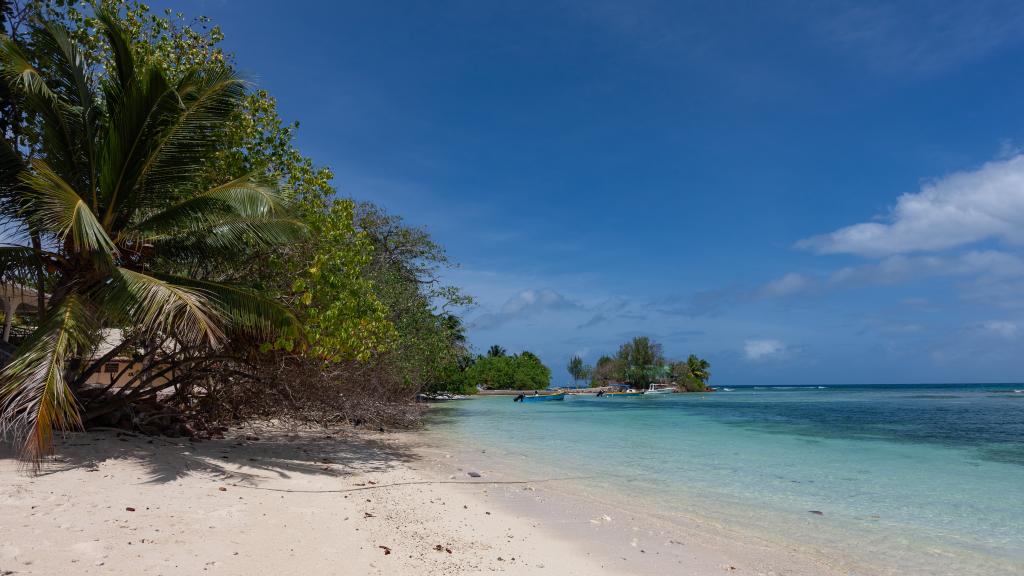 Foto 20: Marie-France Beach Front Apartments - La Digue (Seychelles)