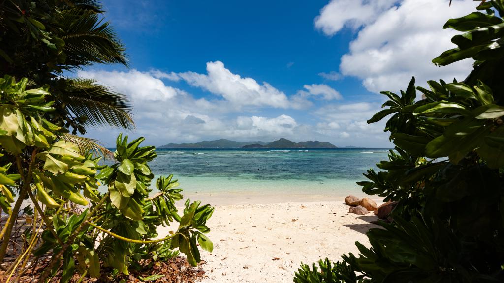 Foto 9: Marie-France Beach Front Apartments - La Digue (Seychelles)