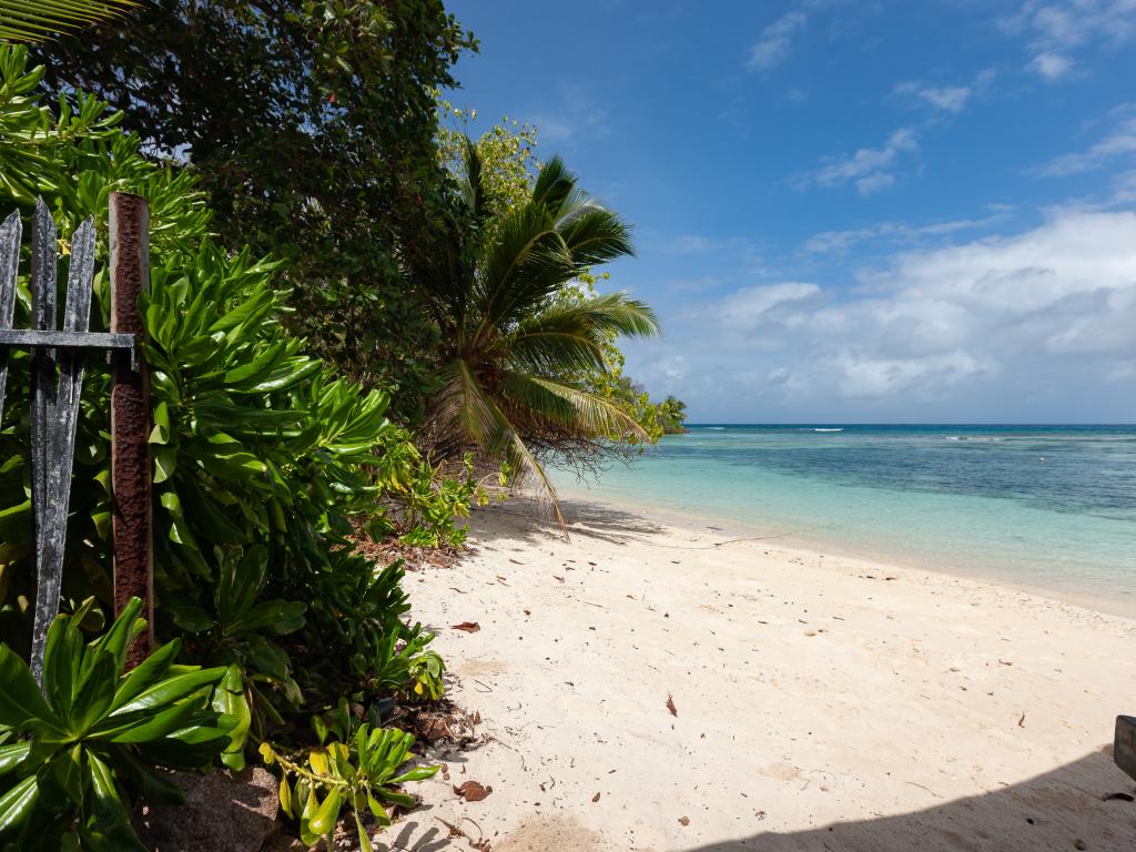 Marie-France Beach Front Apartments - Foto 3