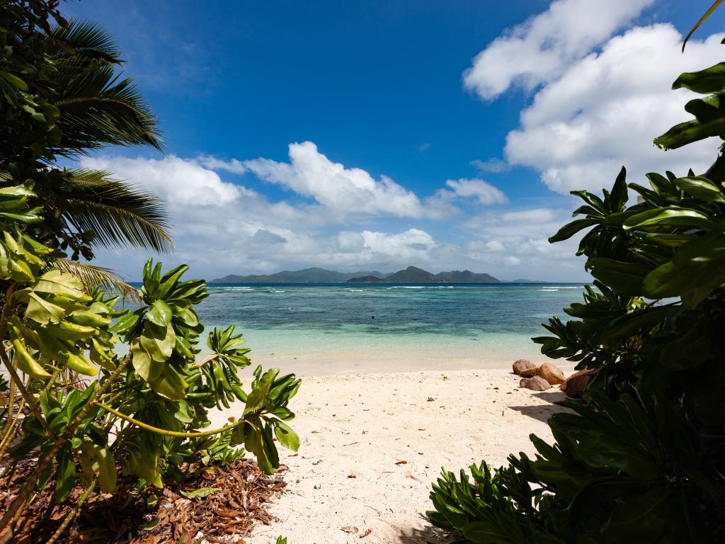 Marie-France Beach Front Apartments - Foto 9