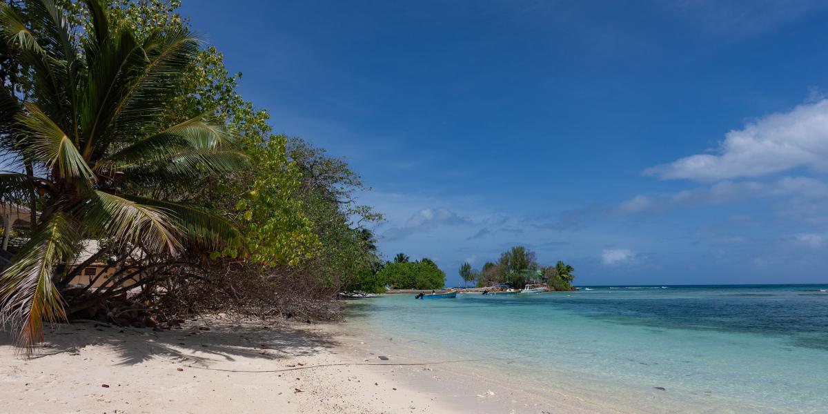 Marie-France Beach Front Apartments