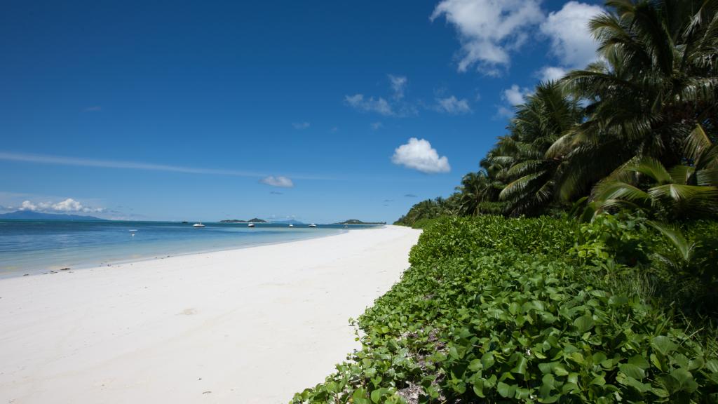 Foto 39: Villas des Alizes - Praslin (Seychelles)