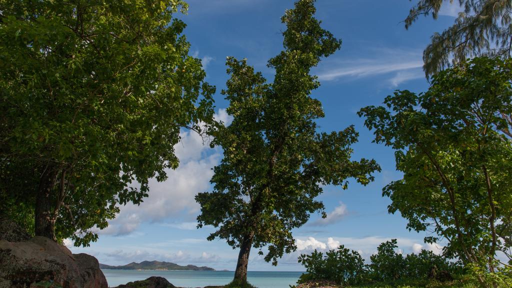 Foto 60: Chez Bea Villa - Praslin (Seychellen)