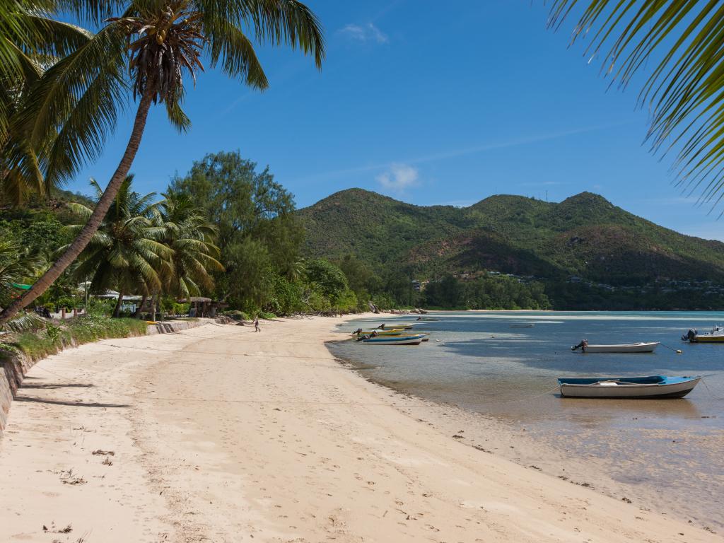 Villa Zananas - Photo 4