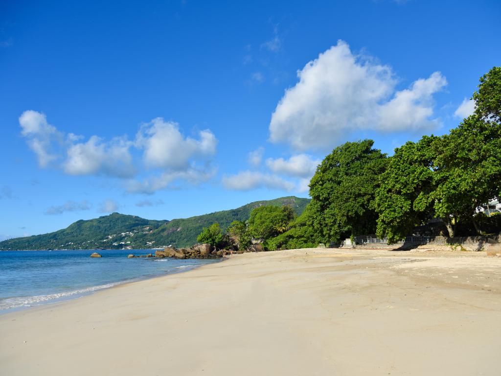 Ocean View Guest House - Photo 8